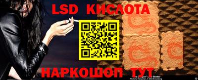 дмт Владимир