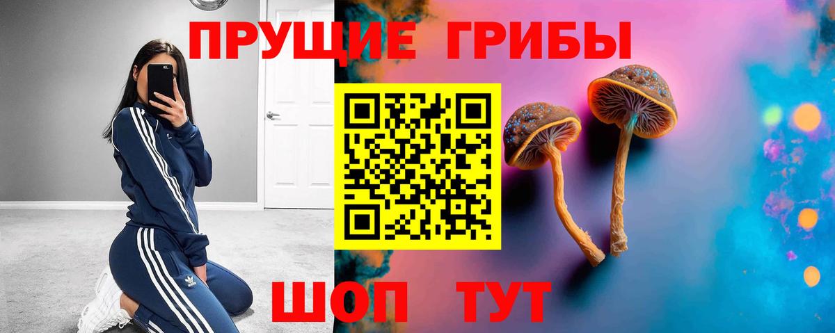 Псилоцибиновые грибы GOLDEN TEACHER Выкса